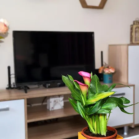 Appartement Colibri *
