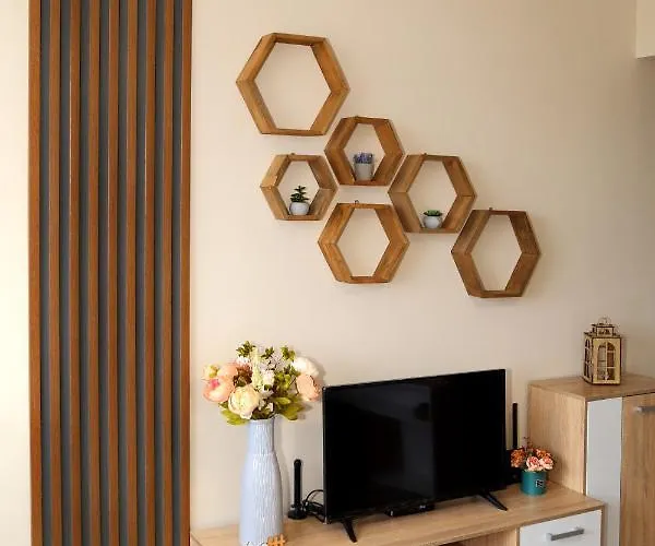 Colibri * ヴェリコ・タルノヴォ